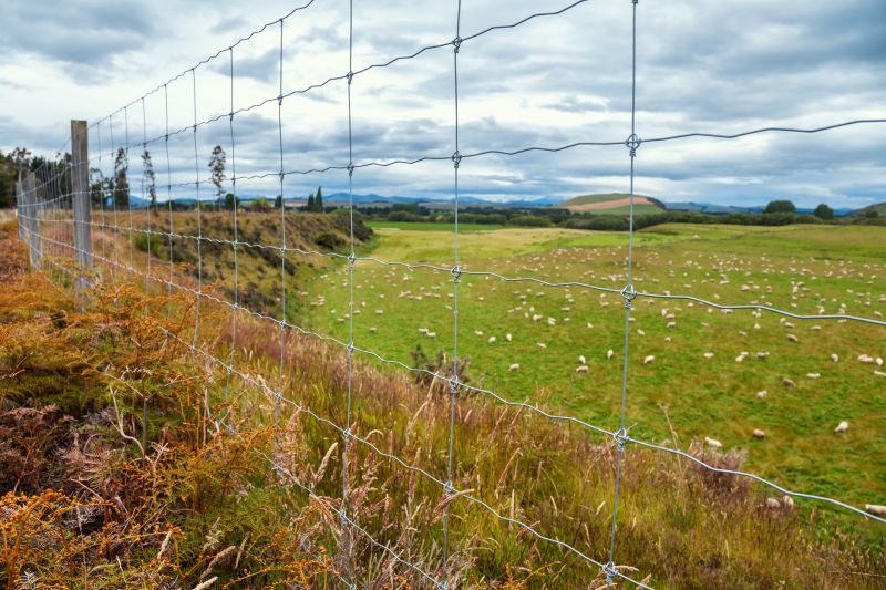 Livestock Fence Installation